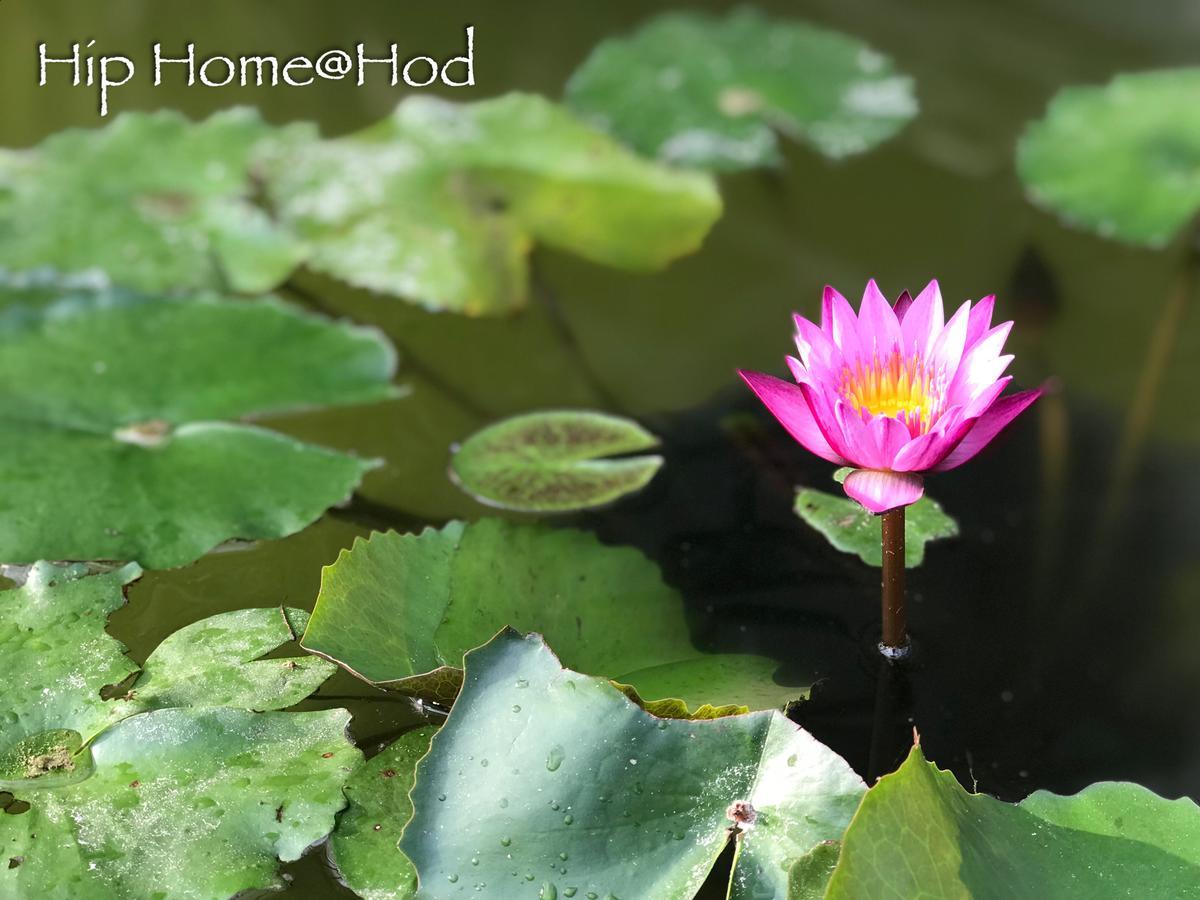 Hip Home At Hod Hot Esterno foto