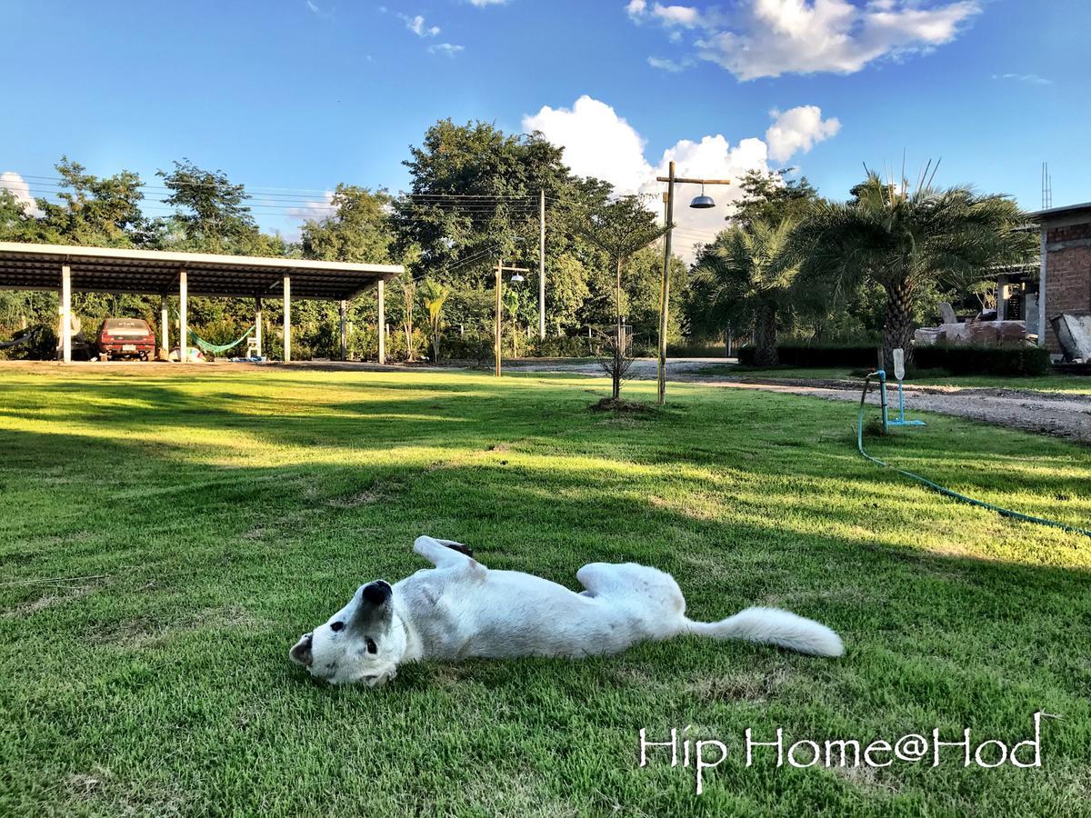 Hip Home At Hod Hot Esterno foto